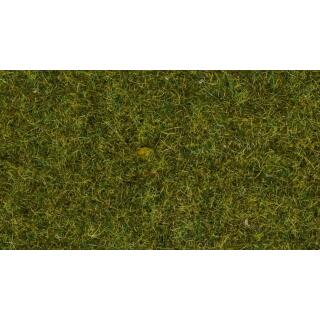 NOCH 07117 Wildgras „Wiese“ für Modellbau, 9 mm, 50 g Beutel ideal für Spurweiten 0, H0, TT