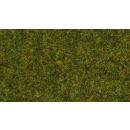 NOCH 07117 Wildgras „Wiese“ für...